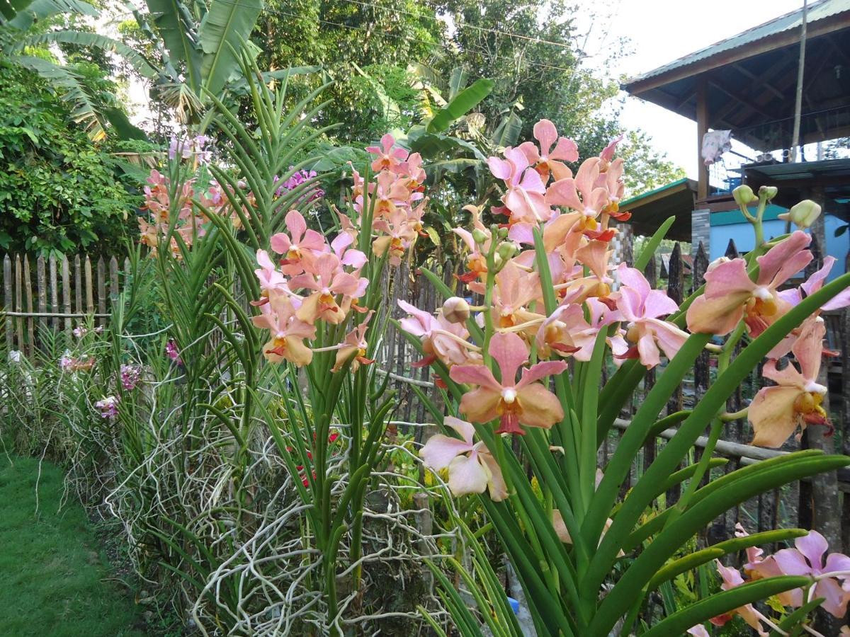 Lhoyjean Garden Hostel Batuan Exteriör bild