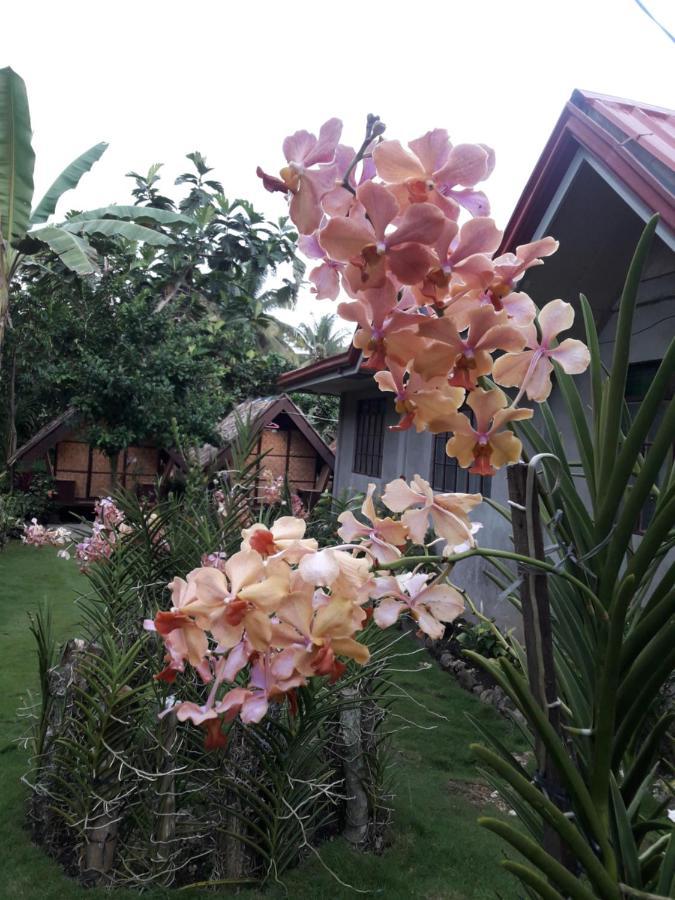 Lhoyjean Garden Hostel Batuan Exteriör bild