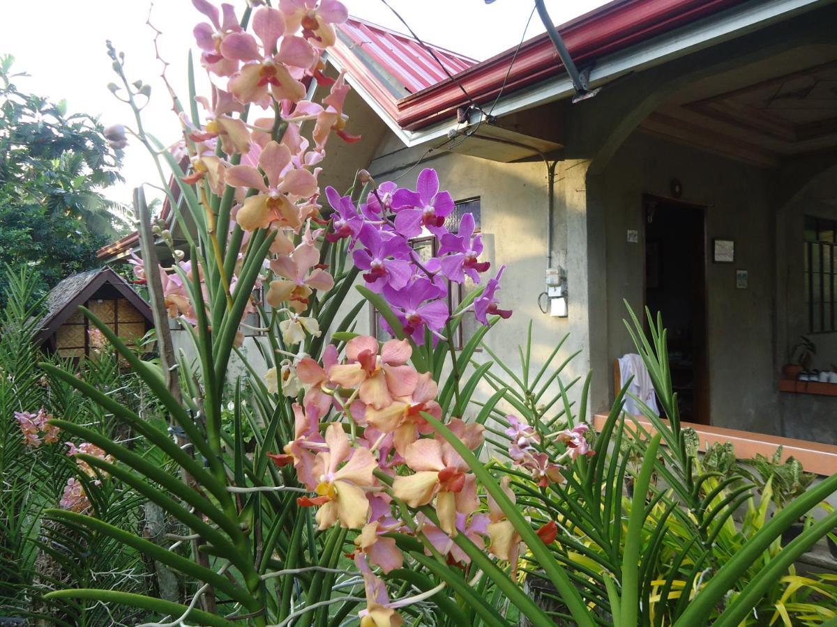 Lhoyjean Garden Hostel Batuan Exteriör bild